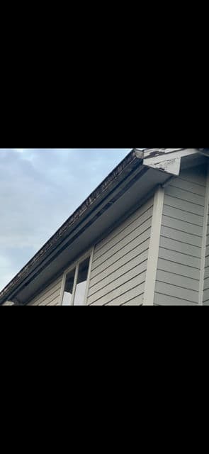 Home Transformation with Gutter and Window Cleaning image