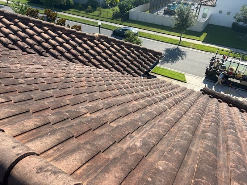Revitalized Roof Gleams with Expert Cleaning image